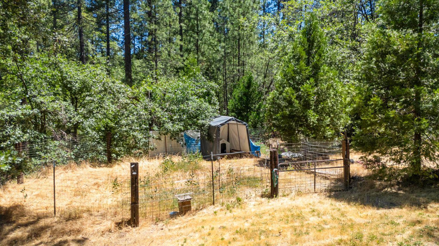 23555 Rock Hammer Road, Groveland, CA 95321