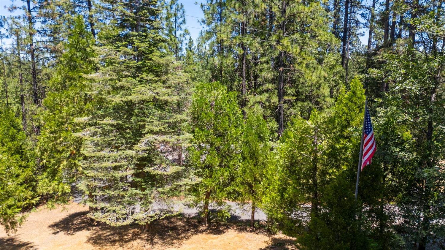 23555 Rock Hammer Road, Groveland, CA 95321