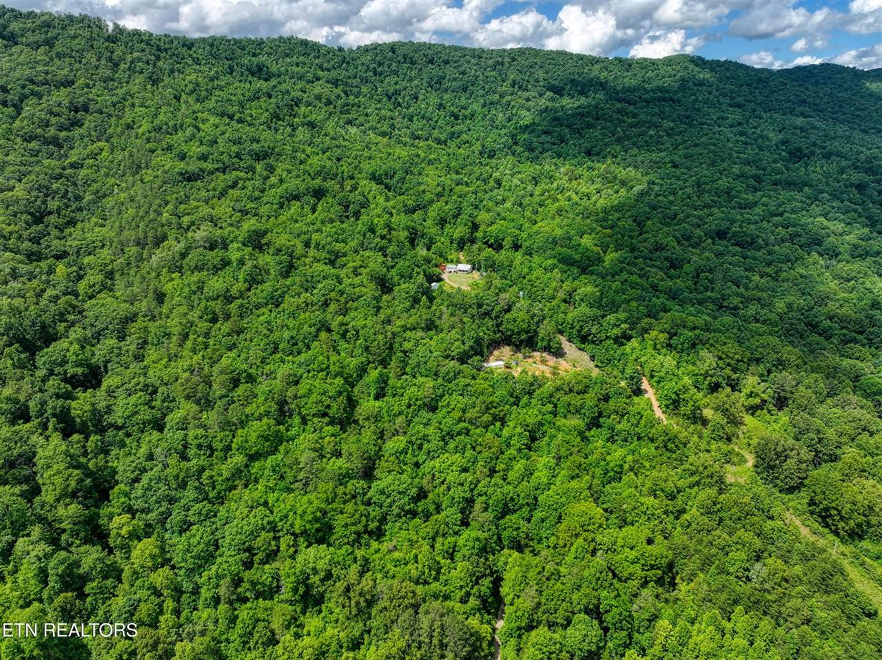 5271 Vardy Blackwater Rd, Sneedville, TN 37869