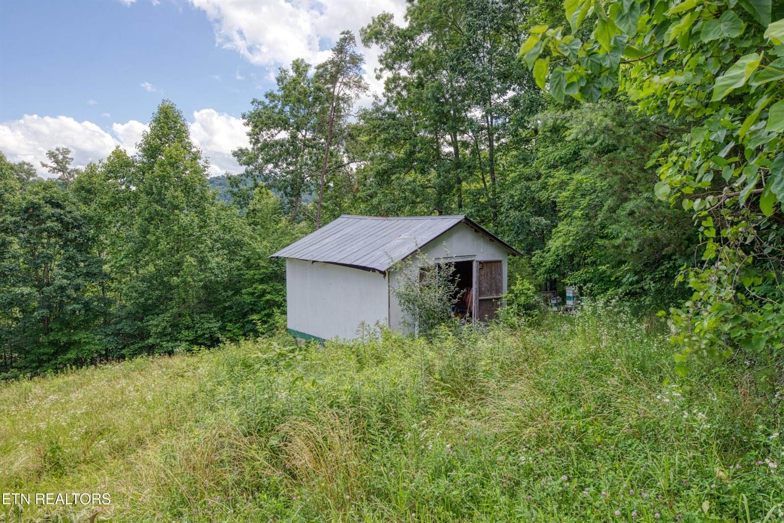 5271 Vardy Blackwater Rd, Sneedville, TN 37869