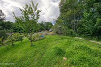 5271 Vardy Blackwater Rd, Sneedville, TN 37869