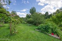 5271 Vardy Blackwater Rd, Sneedville, TN 37869