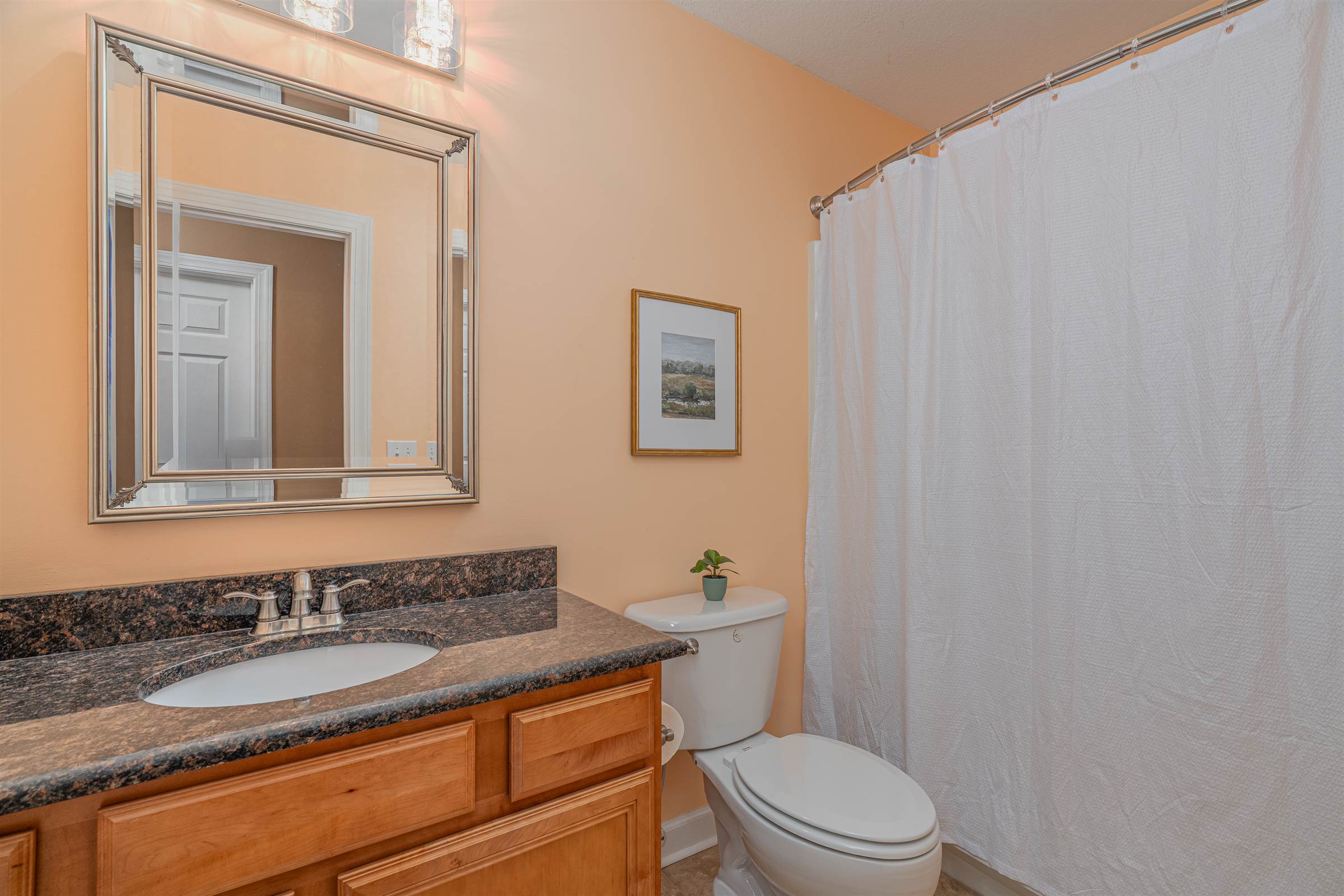 5 Blue Mountain Court, Irmo, SC 29063