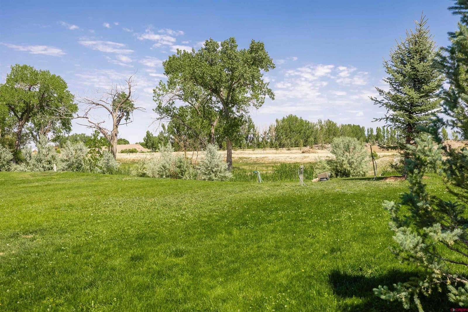 901 6530 Road, Montrose, CO 81401