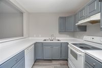 119 West Horn, Chapin, SC 29036