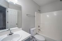 119 West Horn, Chapin, SC 29036