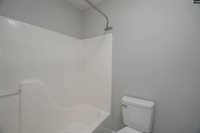 119 West Horn, Chapin, SC 29036