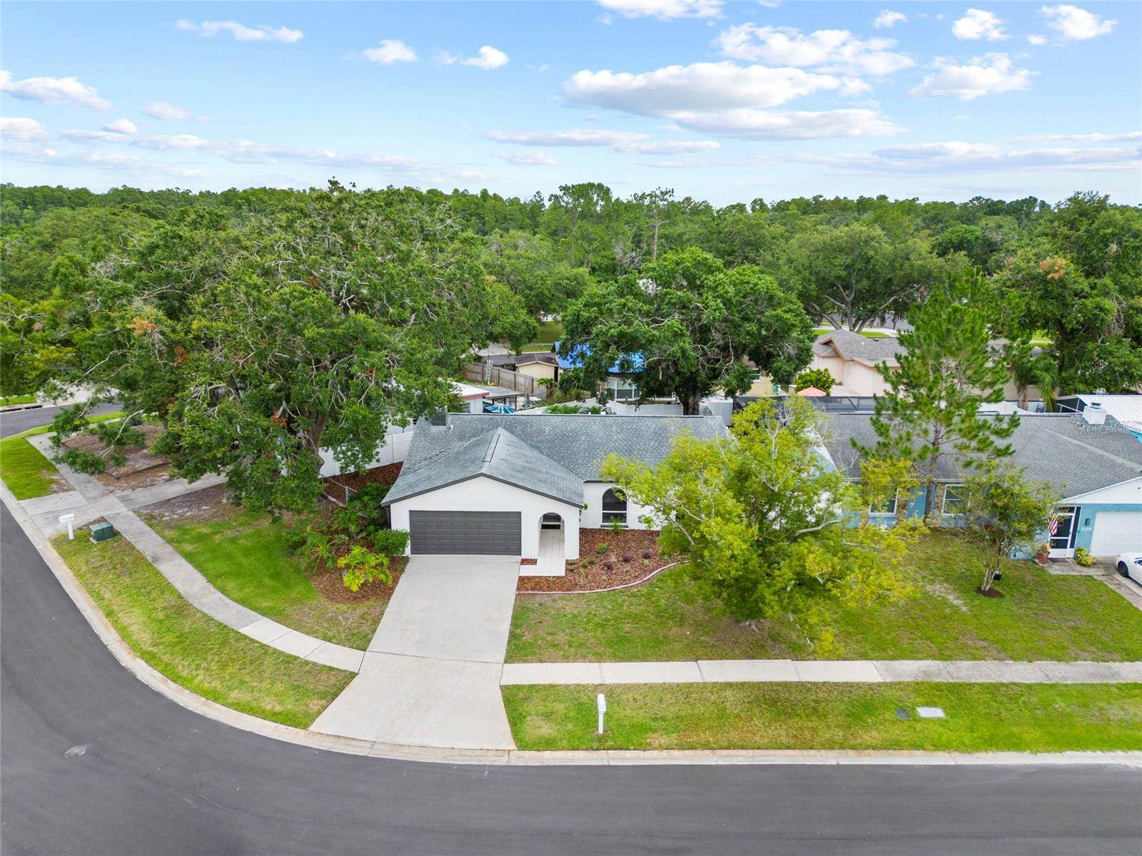 6204 Walsh Lane, Tampa, FL 33625