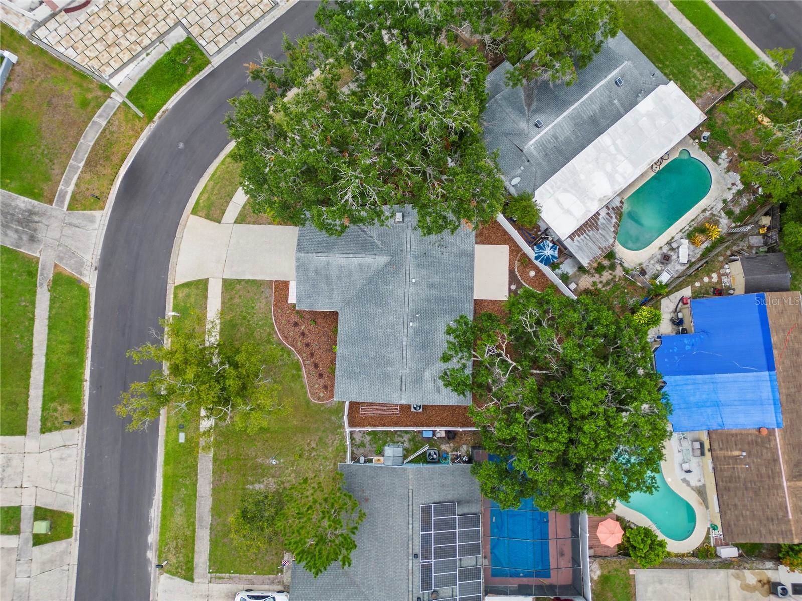 6204 Walsh Lane, Tampa, FL 33625