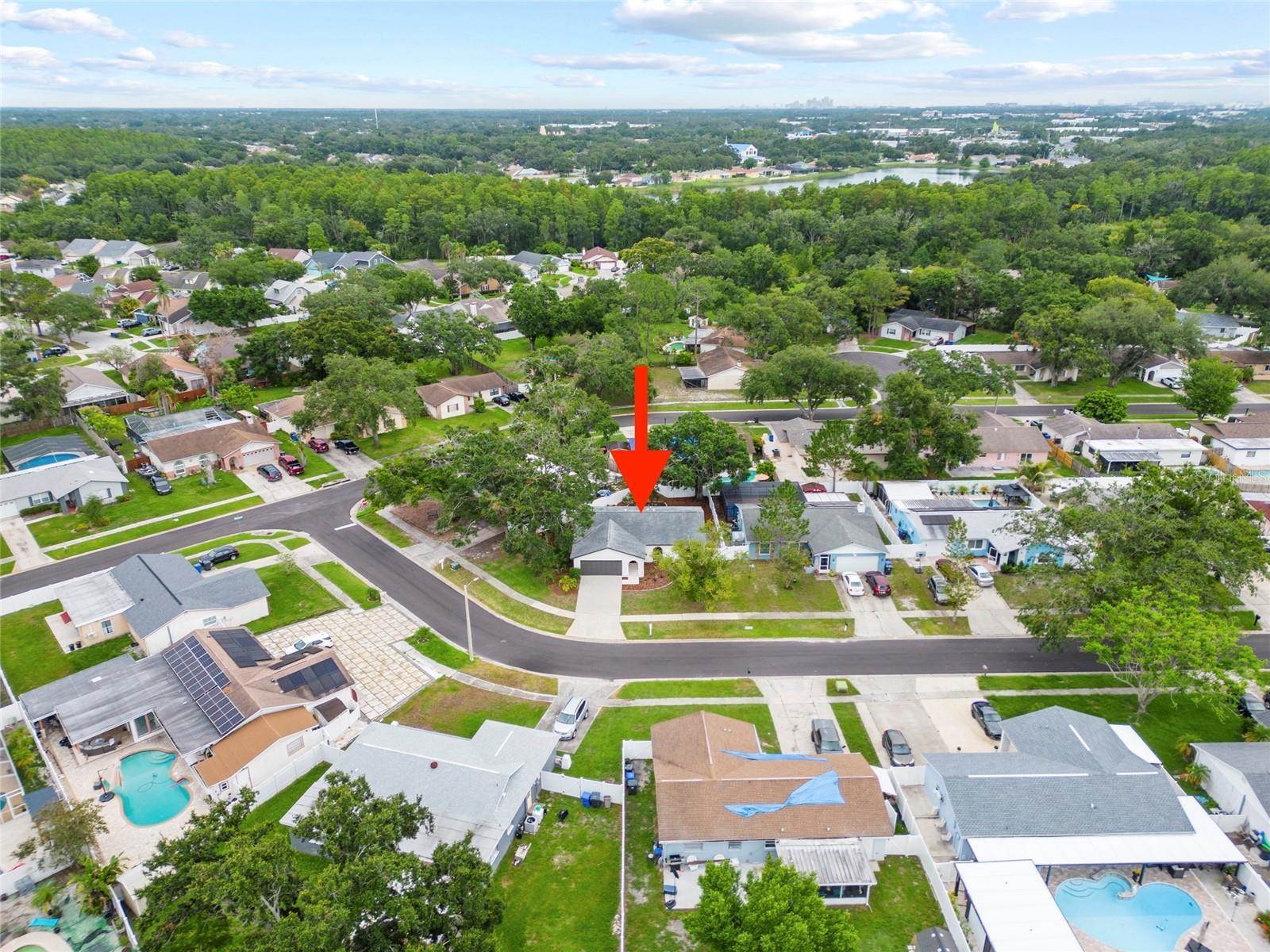 6204 Walsh Lane, Tampa, FL 33625