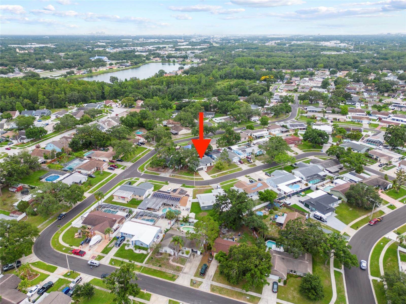 6204 Walsh Lane, Tampa, FL 33625