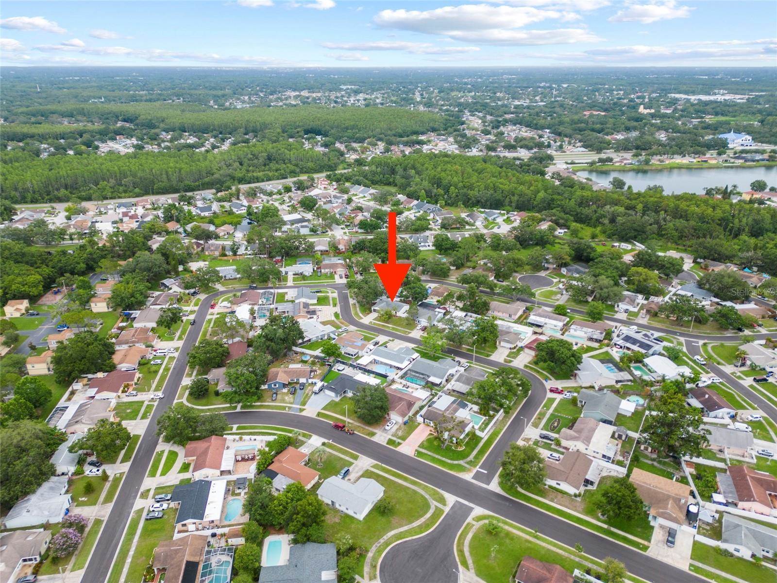 6204 Walsh Lane, Tampa, FL 33625