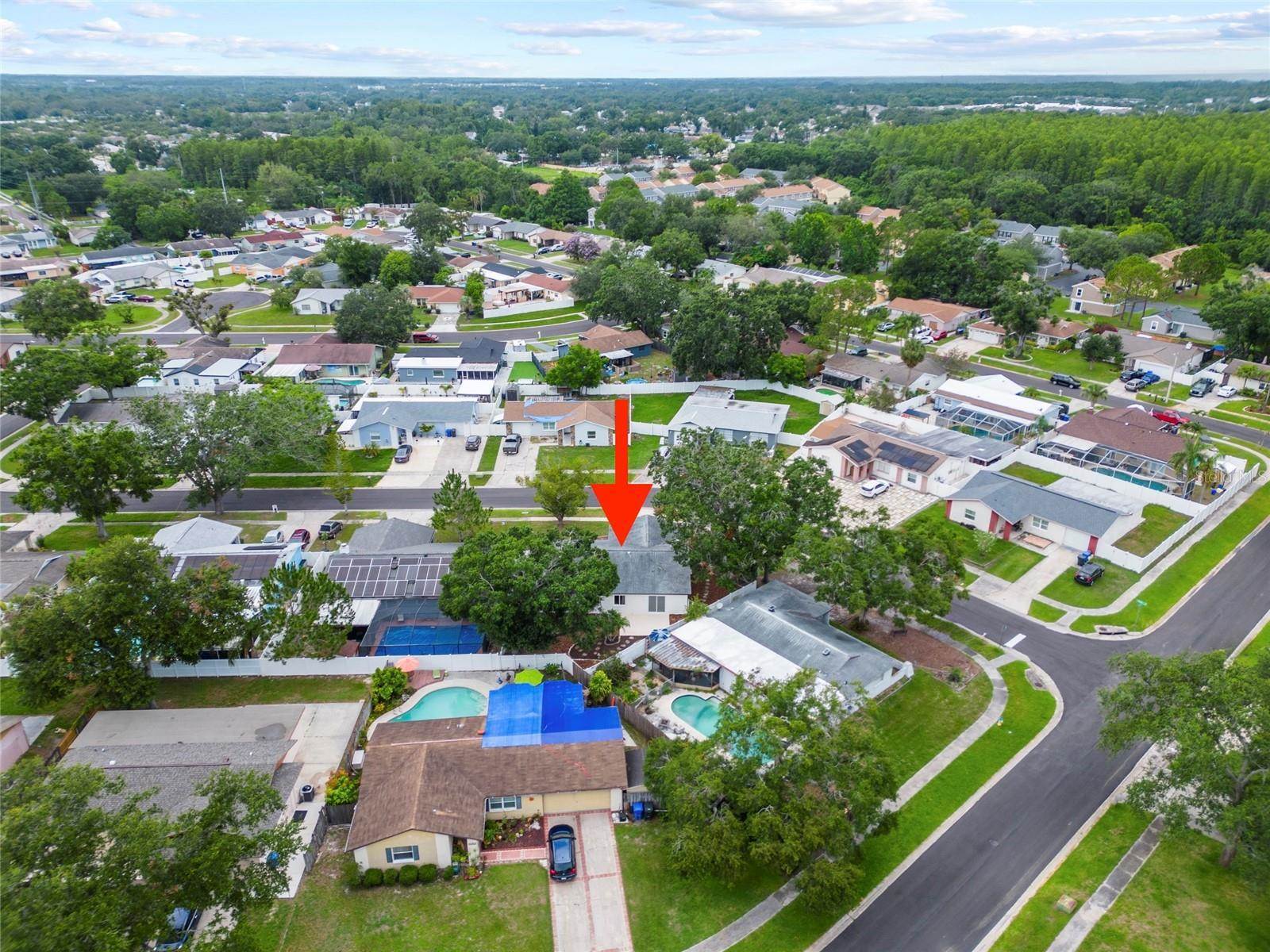 6204 Walsh Lane, Tampa, FL 33625