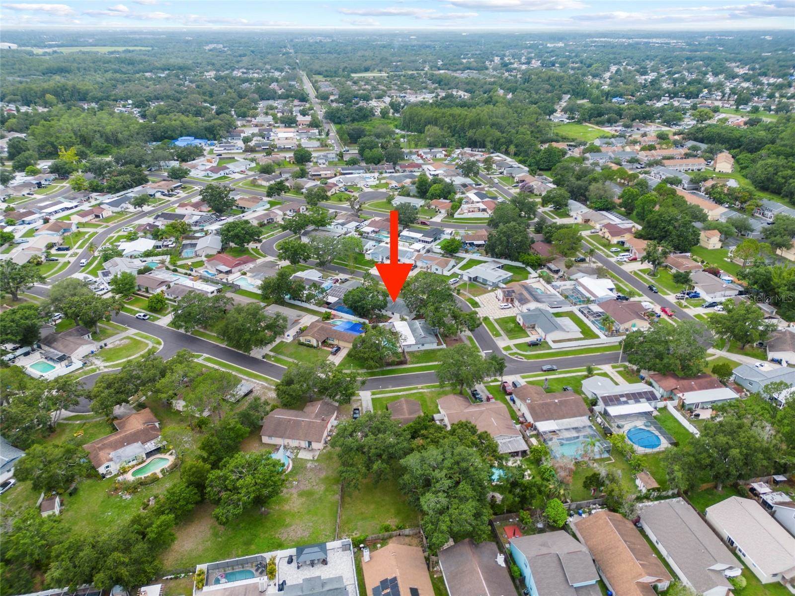 6204 Walsh Lane, Tampa, FL 33625