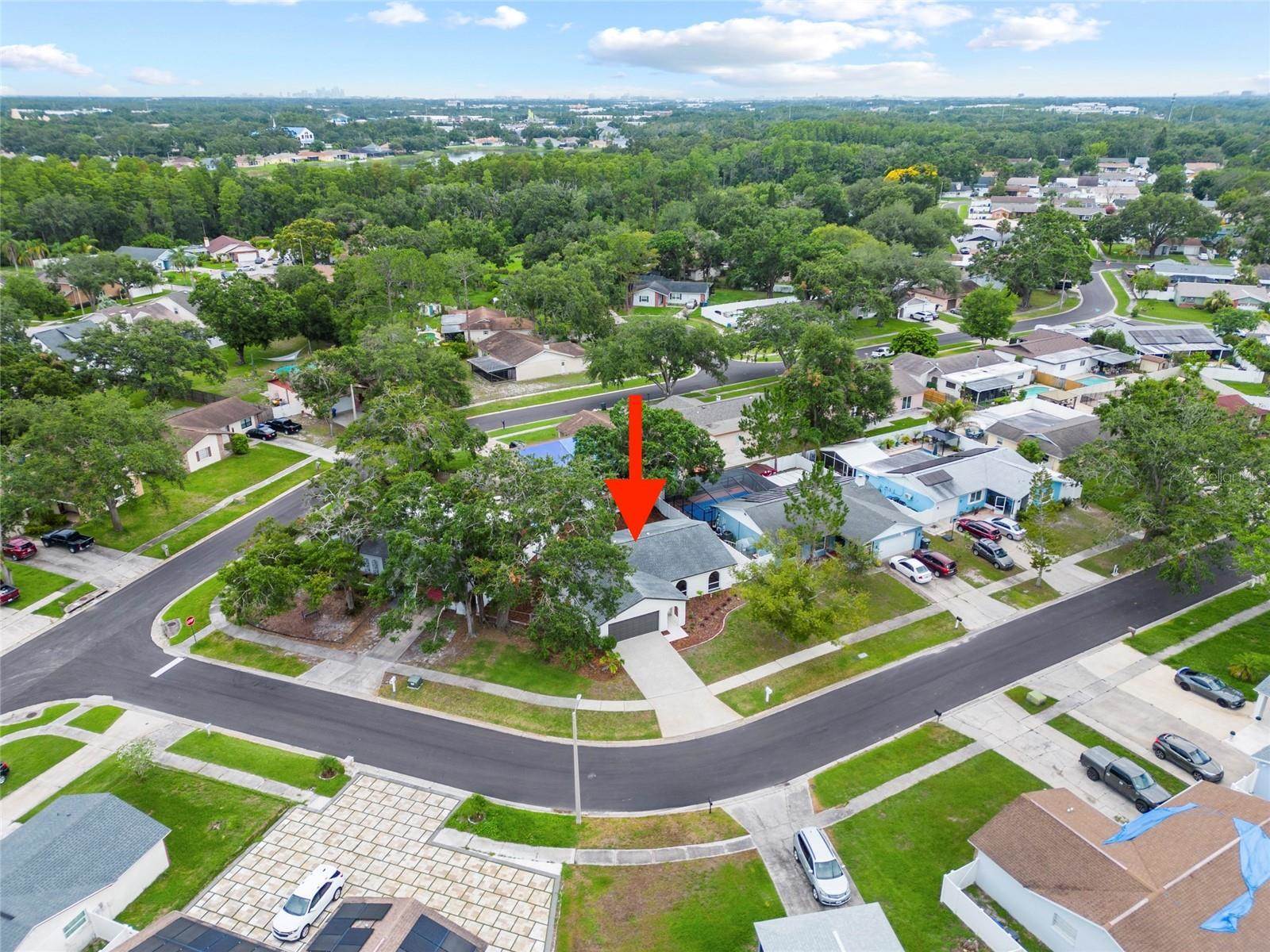 6204 Walsh Lane, Tampa, FL 33625