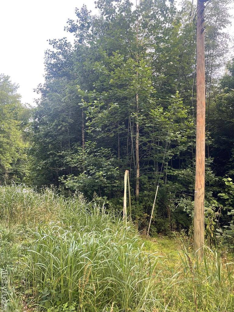 0 Rose Drive, Lawrenceville, VA 23868