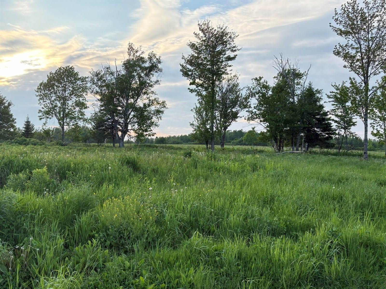 754 US Route 1, Weston, ME 04424