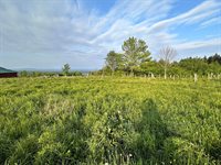 754 US Route 1, Weston, ME 04424