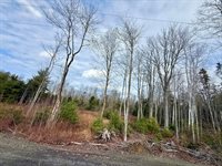 Lot 8 Sunset Hill Road, Hancock, ME 04640