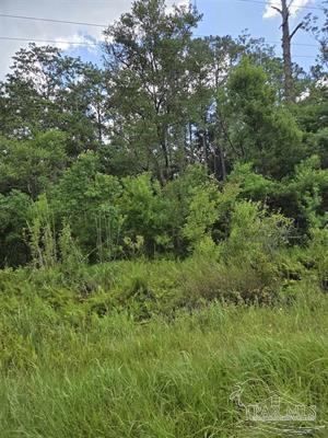 11210 County Rd 95, Elberta, AL 36530