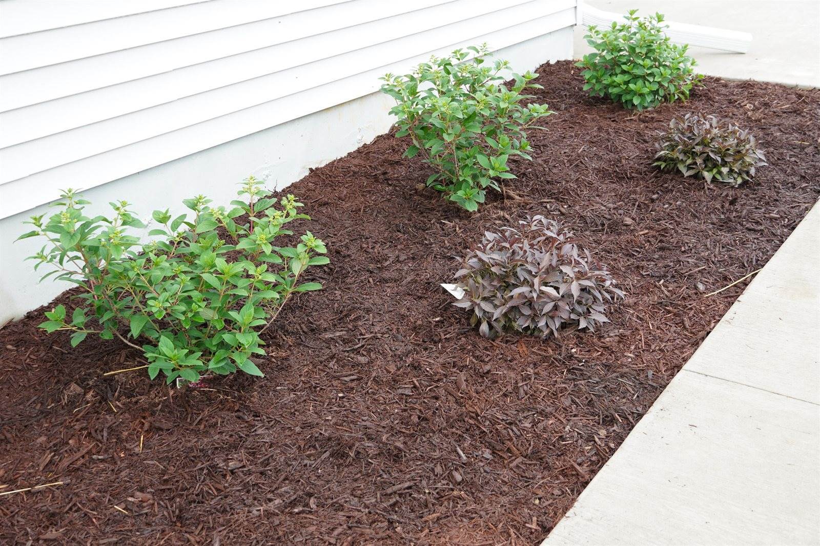 1301 Silver Ave, Cashton, WI 54619