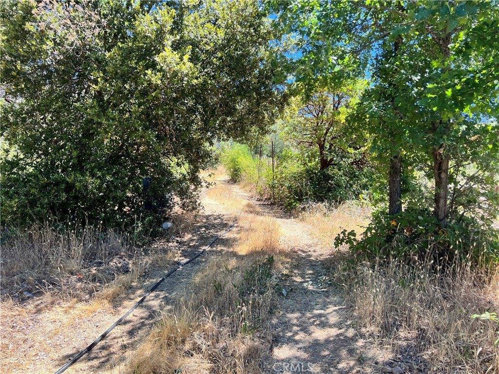 10725 Gifford Springs Road, Cobb, CA 95426