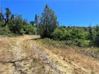 10725 Gifford Springs Road, Cobb, CA 95426