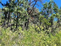 10725 Gifford Springs Road, Cobb, CA 95426