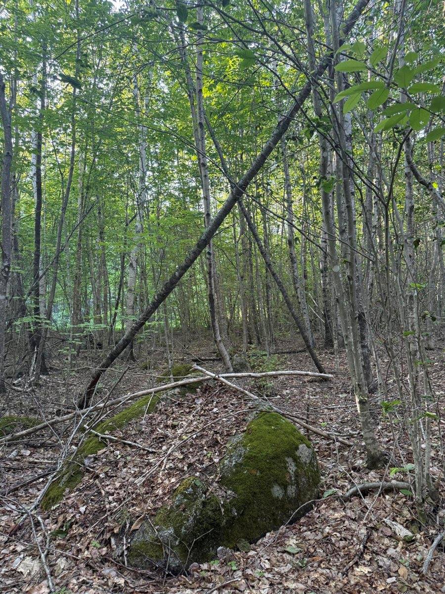 500 Cosgrove Drive, Otis, ME 04605