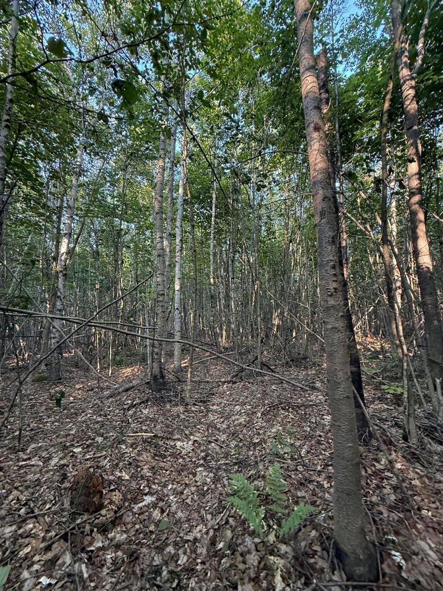 500 Cosgrove Drive, Otis, ME 04605