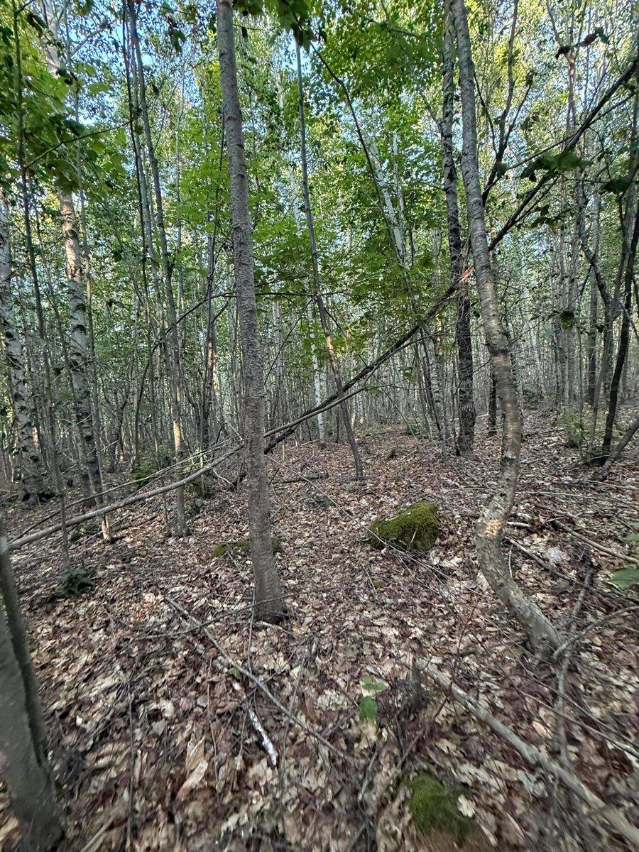 500 Cosgrove Drive, Otis, ME 04605