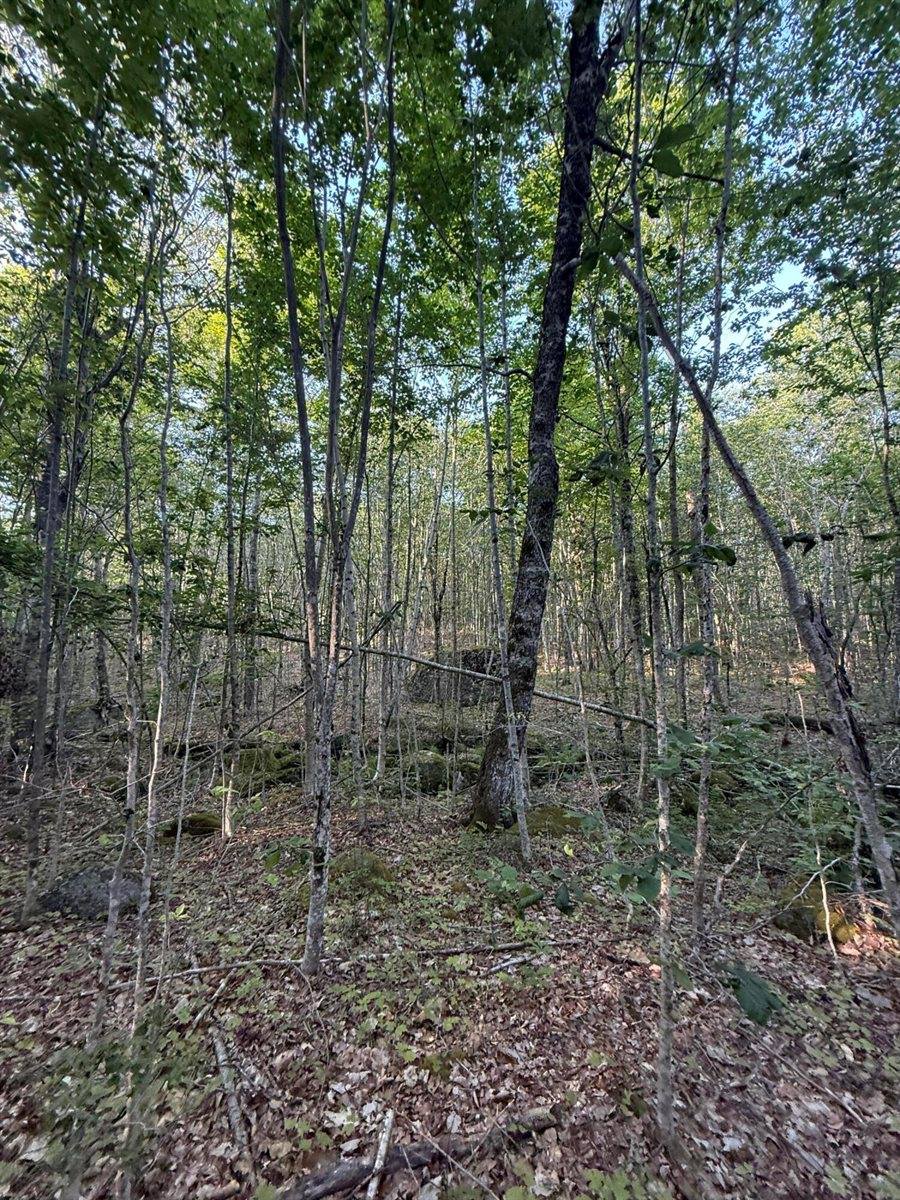 500 Cosgrove Drive, Otis, ME 04605