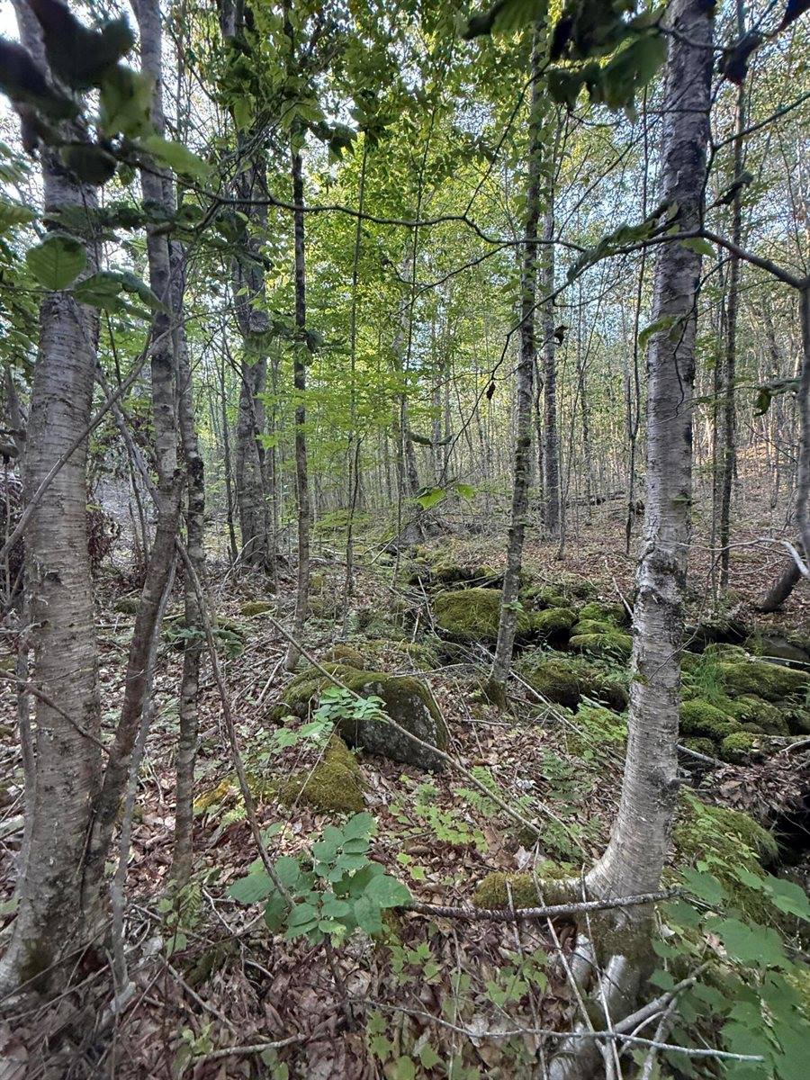 500 Cosgrove Drive, Otis, ME 04605