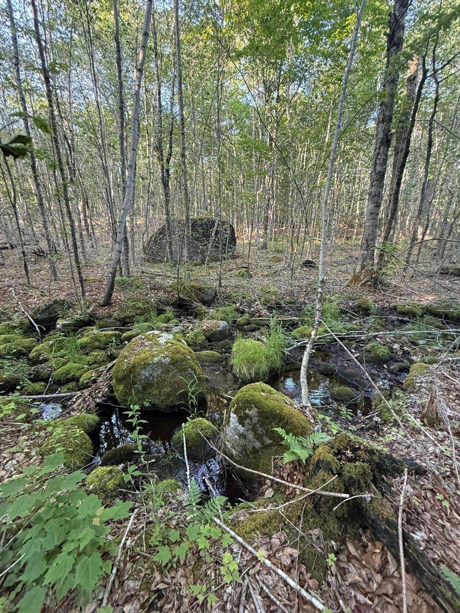 500 Cosgrove Drive, Otis, ME 04605