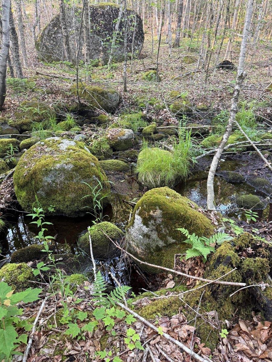 500 Cosgrove Drive, Otis, ME 04605