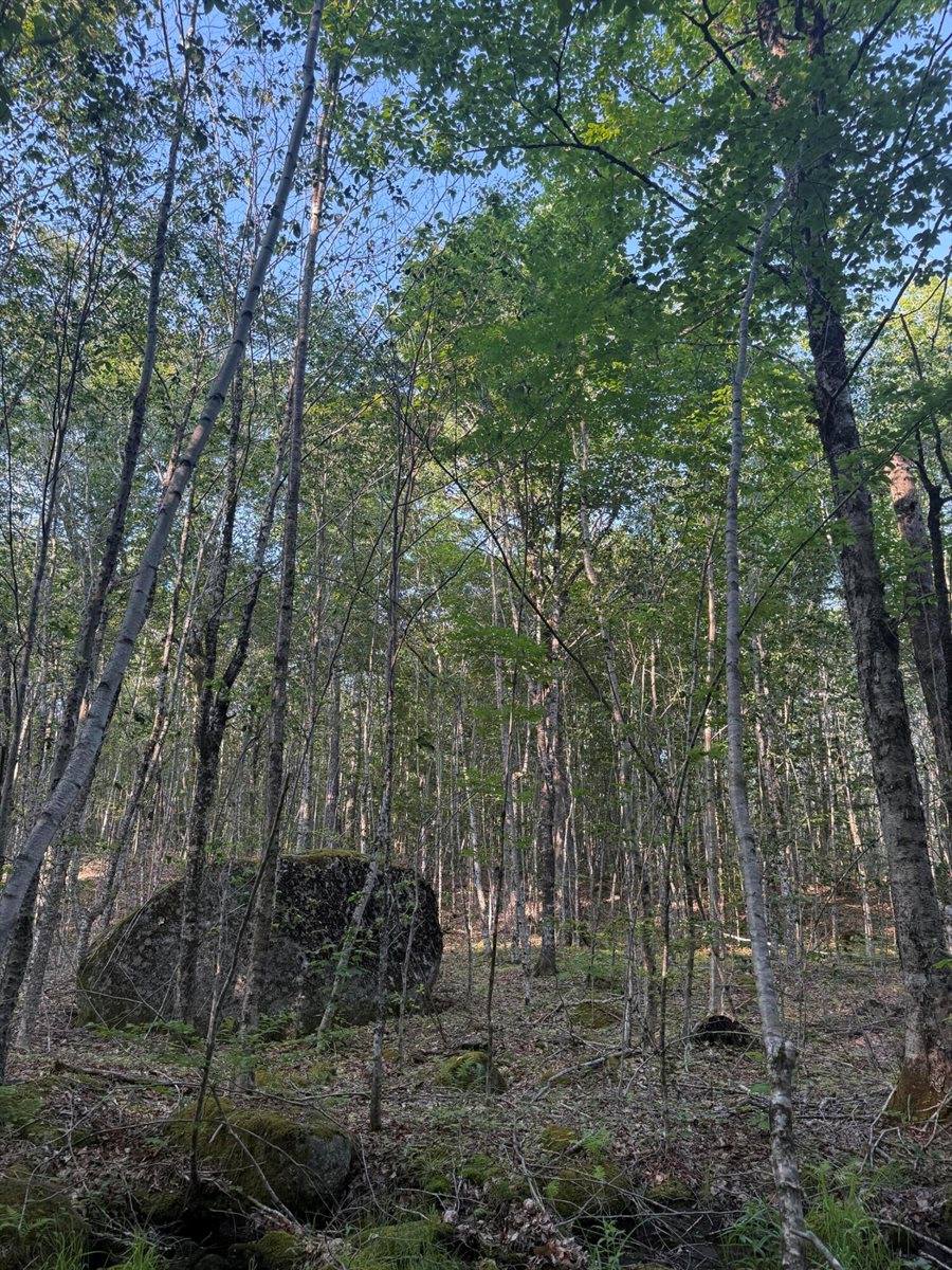 500 Cosgrove Drive, Otis, ME 04605