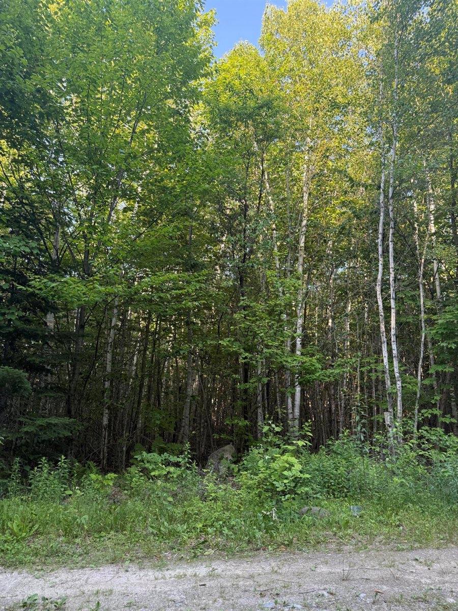 500 Cosgrove Drive, Otis, ME 04605