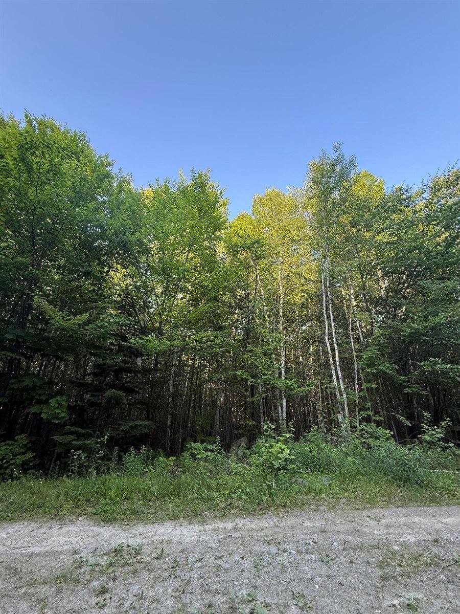 500 Cosgrove Drive, Otis, ME 04605