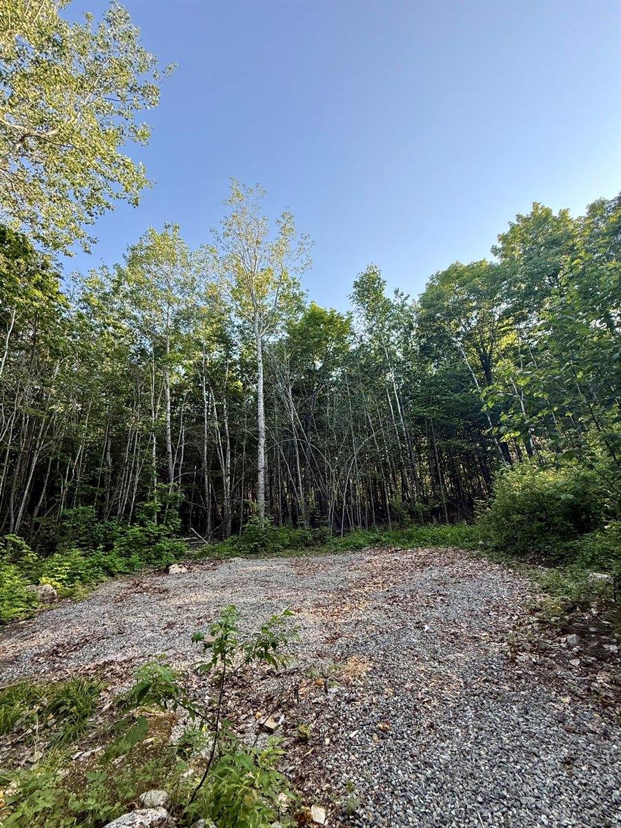 500 Cosgrove Drive, Otis, ME 04605