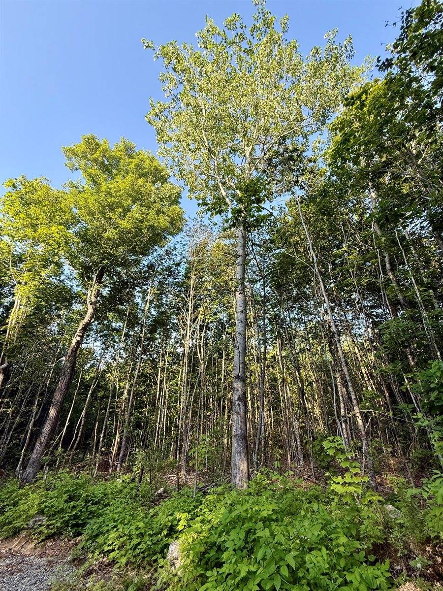 500 Cosgrove Drive, Otis, ME 04605