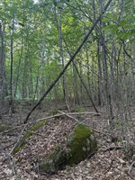 500 Cosgrove Drive, Otis, ME 04605