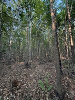 500 Cosgrove Drive, Otis, ME 04605