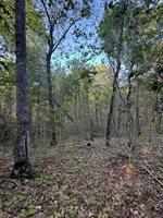 500 Cosgrove Drive, Otis, ME 04605