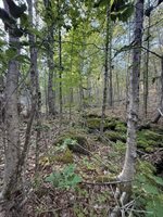 500 Cosgrove Drive, Otis, ME 04605