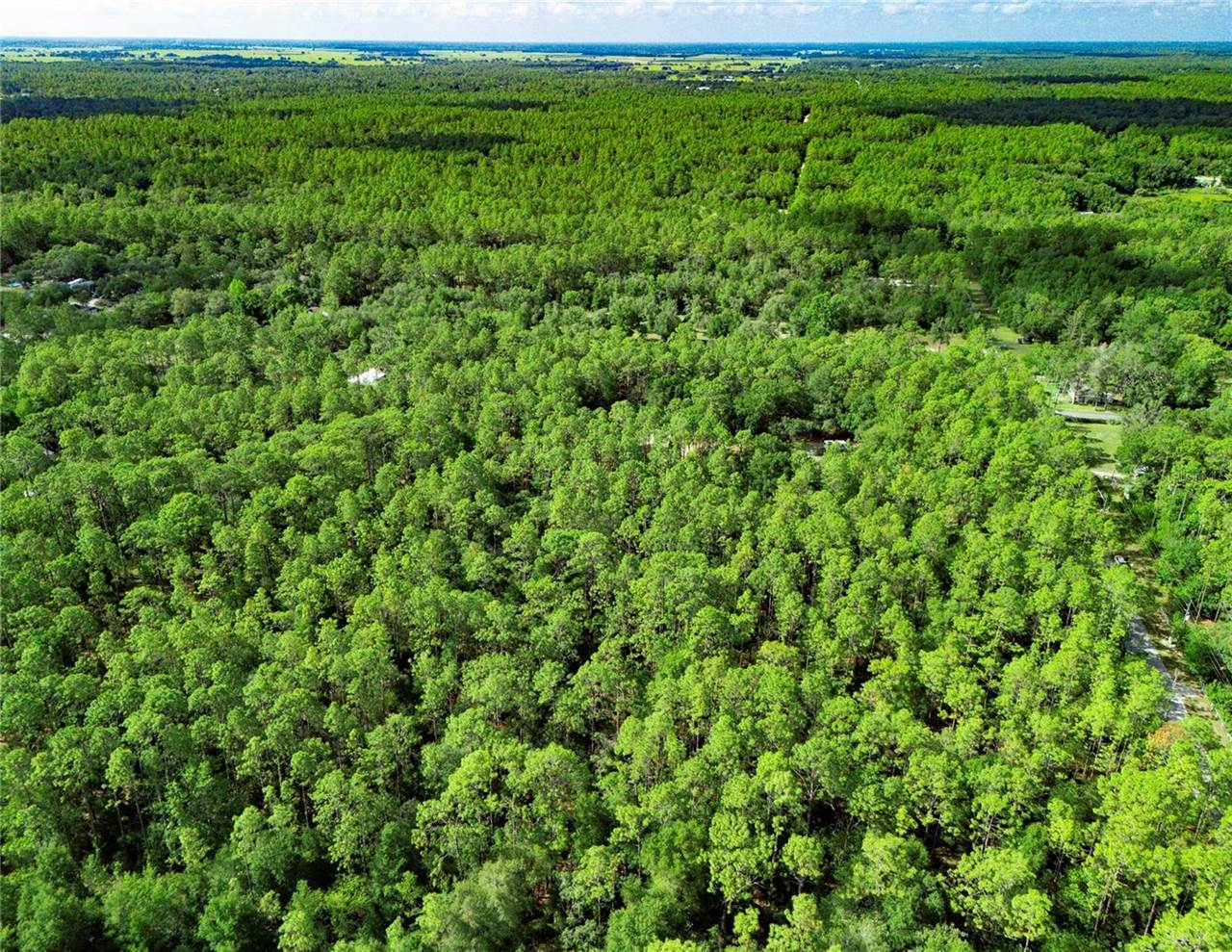 0000 176TH Avenue, Dunnellon, FL 34432