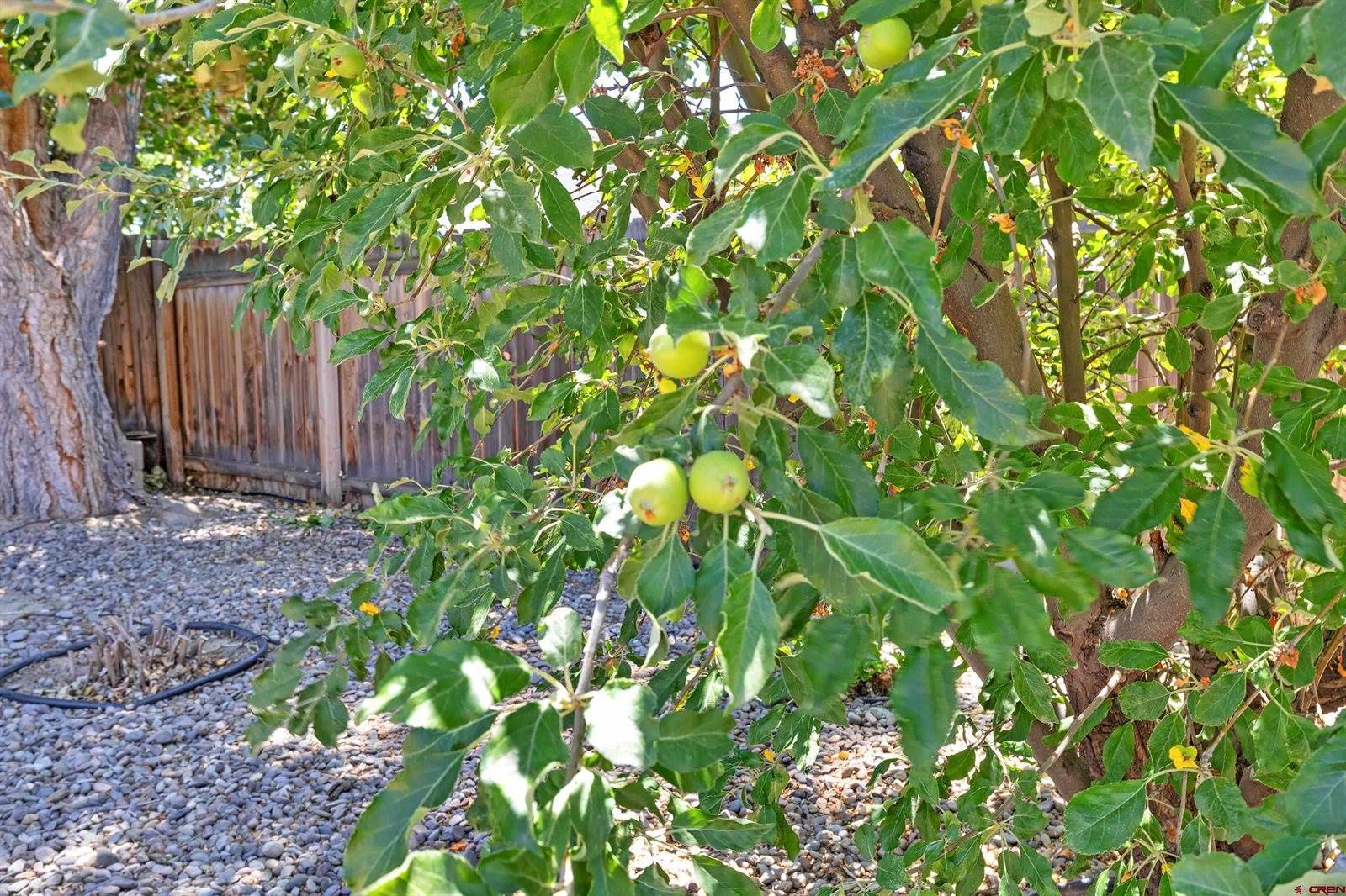 1634 Bighorn Street, Montrose, CO 81401