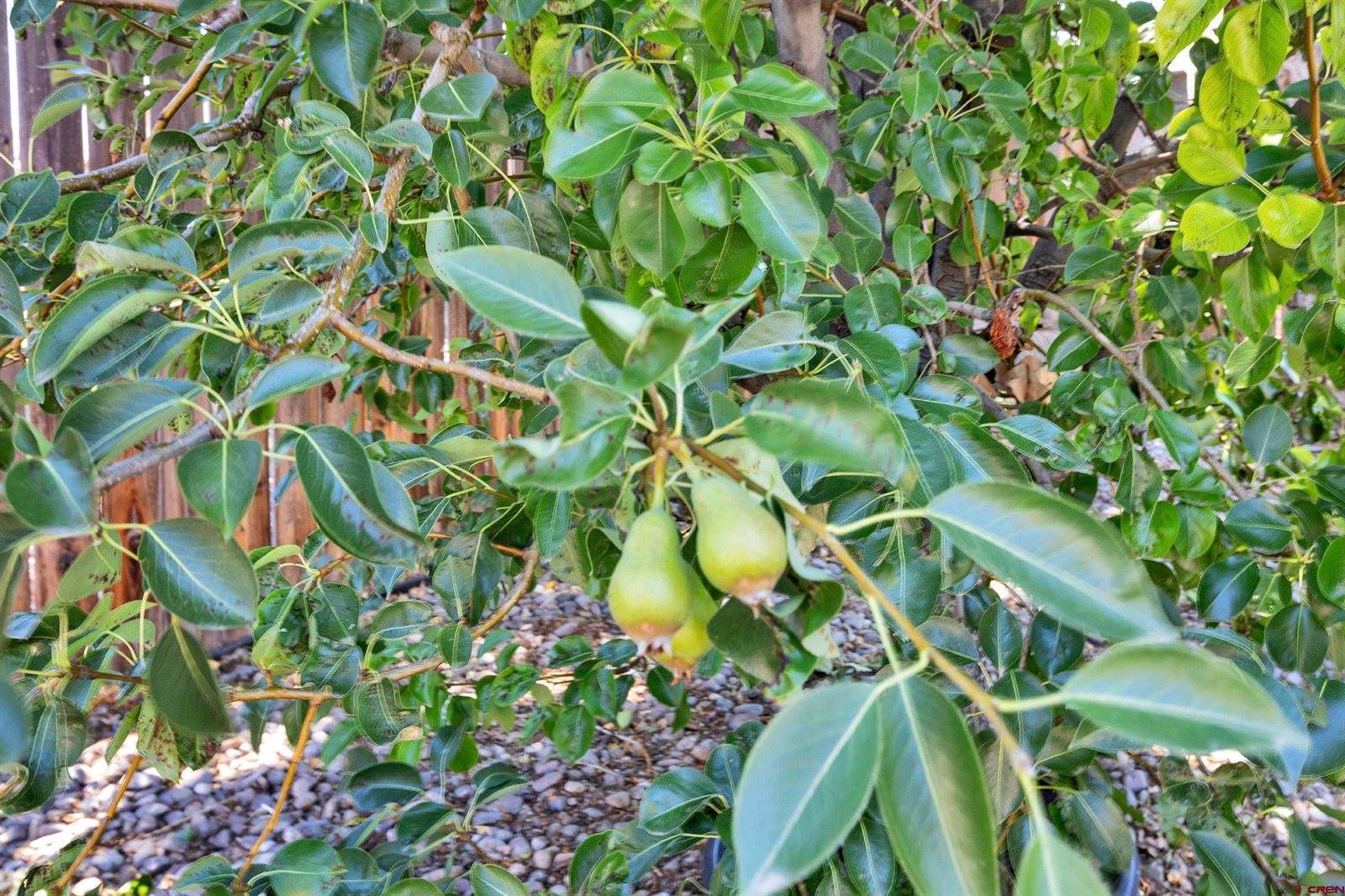 1634 Bighorn Street, Montrose, CO 81401