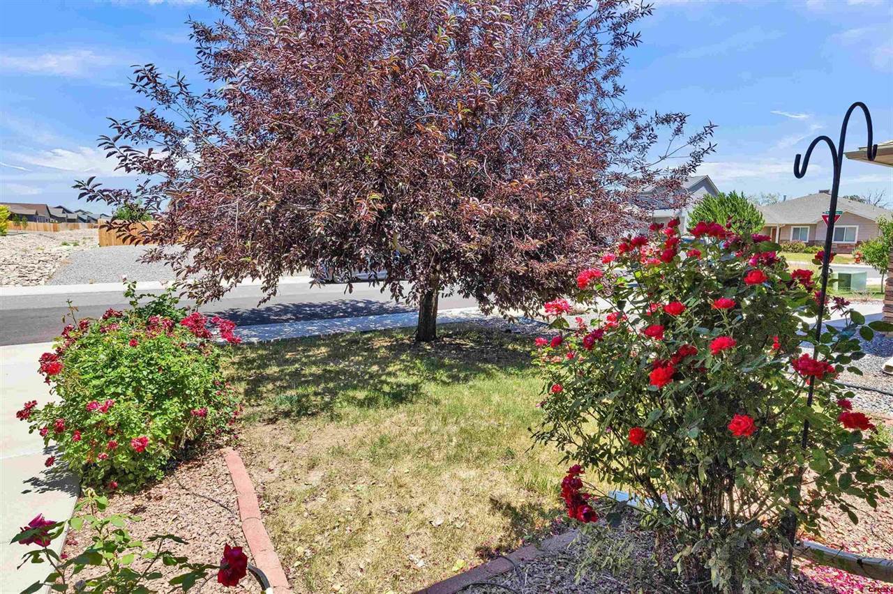 1634 Bighorn Street, Montrose, CO 81401