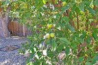 1634 Bighorn Street, Montrose, CO 81401