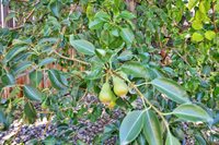 1634 Bighorn Street, Montrose, CO 81401